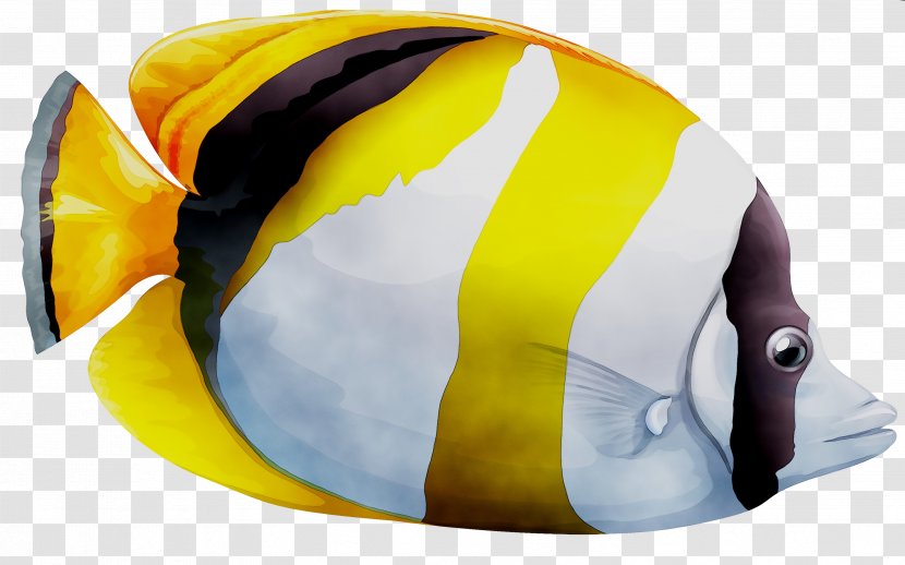 Spot-nape Butterflyfish Vector Graphics Illustration Image Photograph - Bluecheek - Depositphotos Transparent PNG