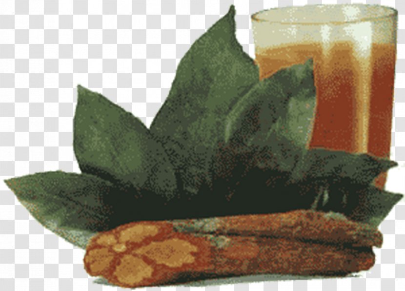 Ayahuasca Santo Daime Tea Caapi Amazon Rainforest - Infusion Transparent PNG