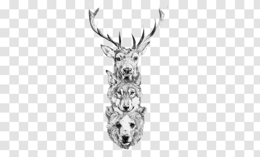 Red Deer Bear Gray Wolf Elk - Tree - Head Creative Assembly Transparent PNG