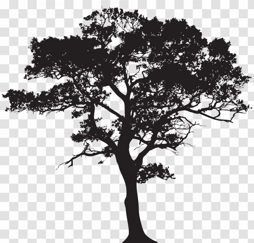 Tree Silhouette Clip Art - Image Transparent PNG