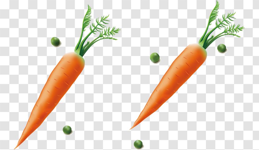 Baby Carrot Diet Food Fruit - Vegetable - Vector Transparent PNG