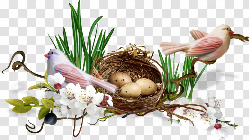 Easter Paschal Greeting Clip Art - Flowerpot - Nest Transparent PNG