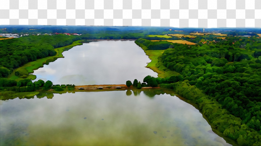 Wetland Riparian Zone Water Resources Pond Floodplain Transparent PNG