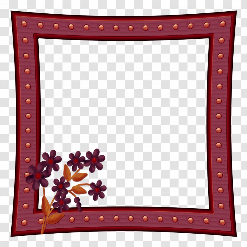 Picture Frame - Area - Digital Photo Transparent PNG