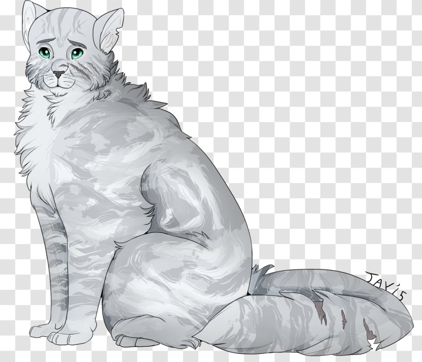 Whiskers Dog Cat Drawing Paw - Character Transparent PNG