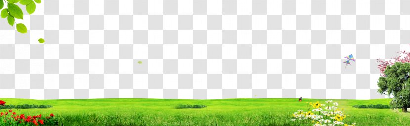 Lawn Grasses House Energy Wallpaper - Green - Grass Background Transparent PNG