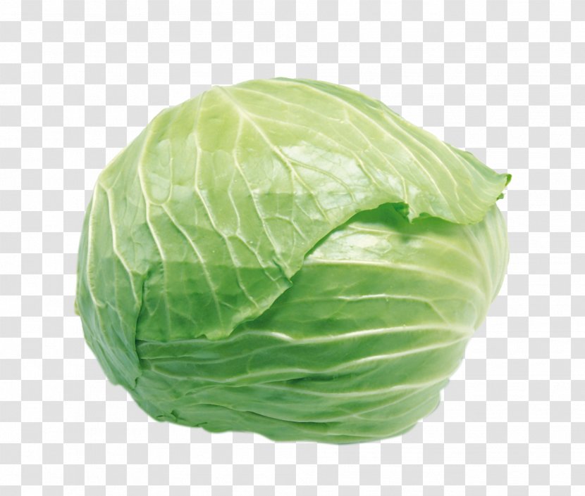 Cabbage Cauliflower Vegetable Food Stir Frying - Spring Greens Transparent PNG