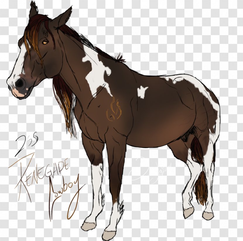 Mule Foal Stallion Bridle Pony - Mustang Transparent PNG