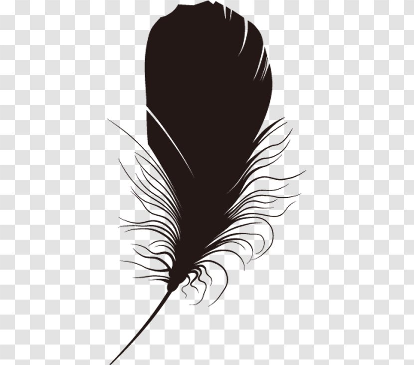 Black Feather. - Quill - Feather Transparent PNG