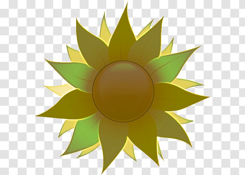 Sunflower - Plant - Symmetry Transparent PNG