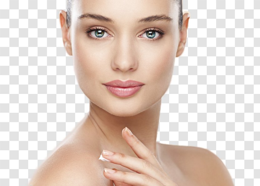 Skin Care Anti-aging Cream Exfoliation Lamdors Global System - Close Up - Anti Aging Transparent PNG