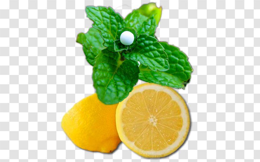 Lemon-lime Drink Key Lime Rangpur Citron - Home Remedy Transparent PNG