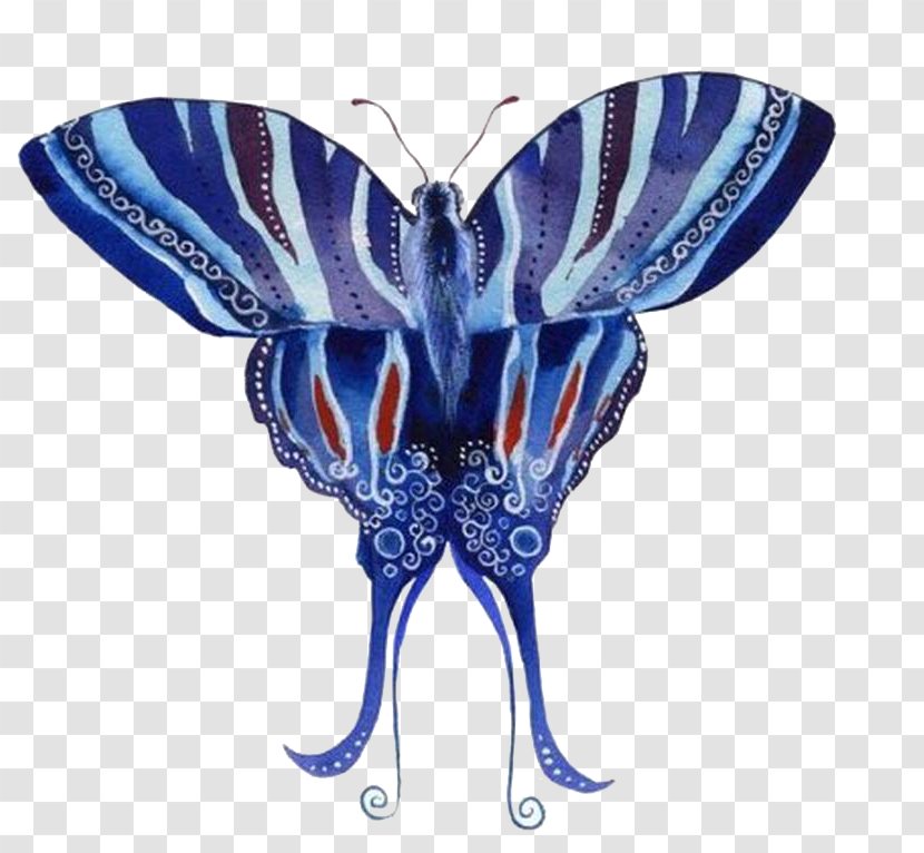 Butterfly Moth Blue - Cartoon Transparent PNG