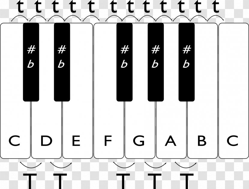 Musical Keyboard Semitone Note Scale - Watercolor Transparent PNG