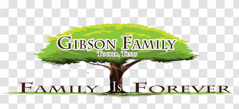 Logo Brand Tree Font - Advertising - Family Reunion Transparent PNG