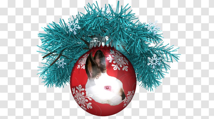 Christmas Ornament A Pawsome Day YouTube Boxing - Decoration - Mickey's Once Upon Transparent PNG