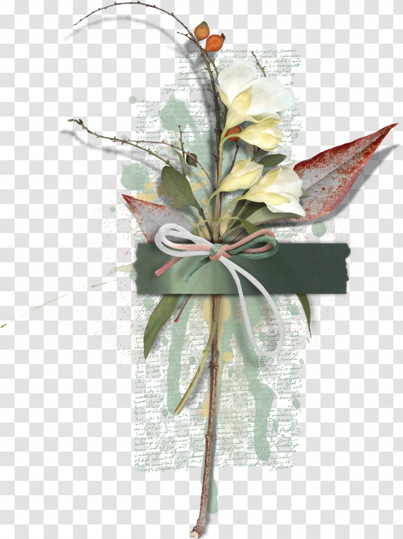 Biological Specimen Biology Petal - Search Engine - Creative Floral Specimens Transparent PNG