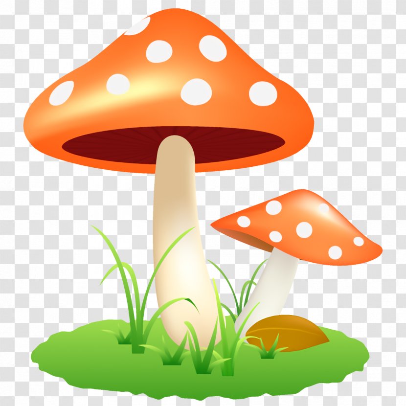 Mushroom Clip Art Fungus Agaric Transparent PNG