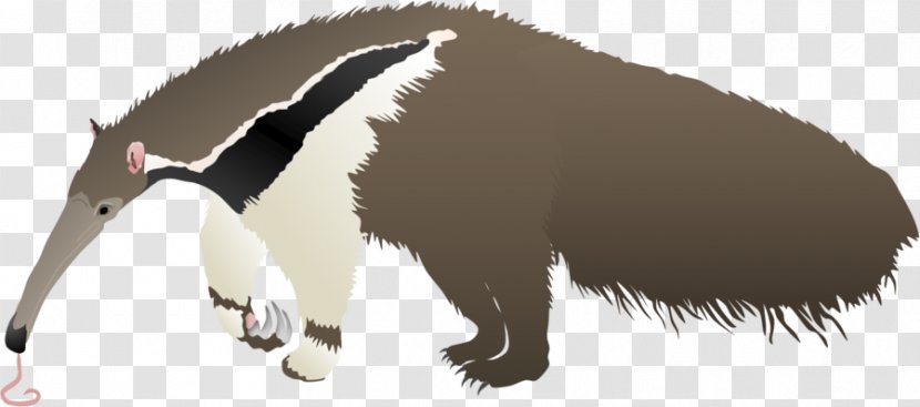 Giant Anteater Aardvark Oroonoko Echidna - Fur - Carnivoran Transparent PNG