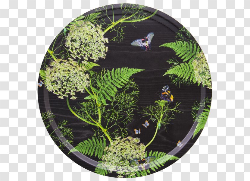 Yoyogi VILLAGE Tray Kitchen Tableware - Plant - Fish Shoal Transparent PNG