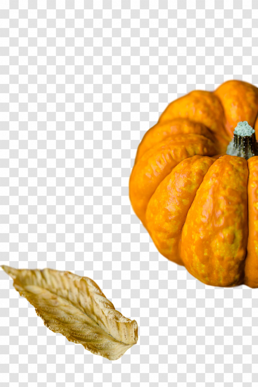 Pumpkin Transparent PNG