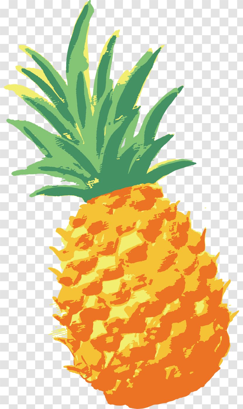Pineapple Vector Graphics Drawing Image - Food - Ananas Watercolor Transparent PNG