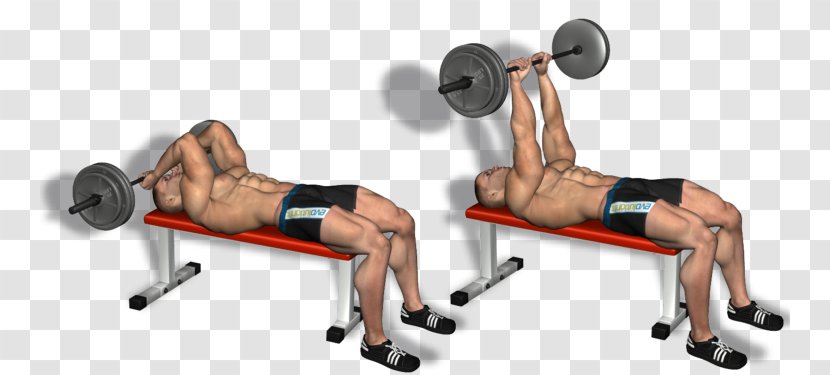 Weight Training Barbell Bench Press Triceps Brachii Muscle Lying Extensions - Heart - Workout Exercises Transparent PNG