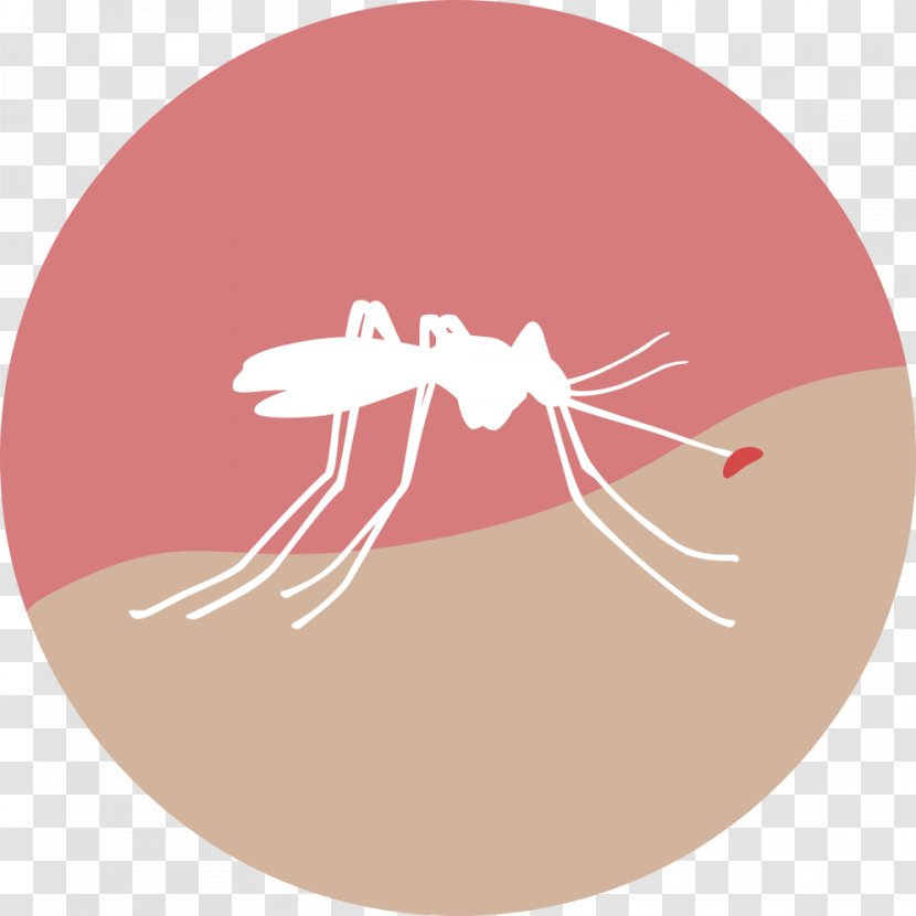 Zika Virus Health Mosquito Fever Medicine - Cartoon - Blood In Out Transparent PNG