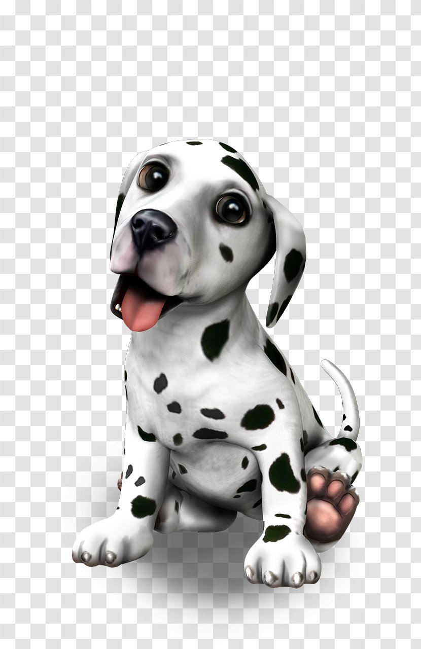 Dalmatian Dog Puppy Breed Companion Pet Sitting - Your Transparent PNG