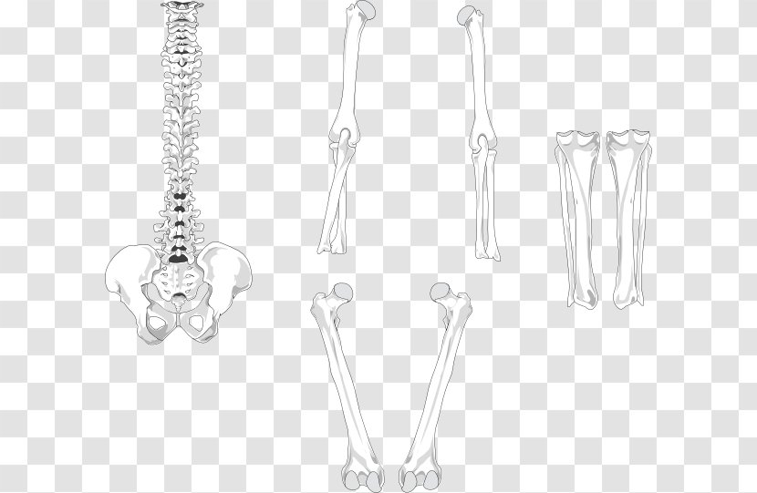 Earring Joint Body Jewellery Silver - Jewelry Transparent PNG