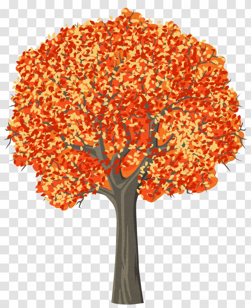 Trees For Kids Pine Clip Art - Oak - Tree Transparent PNG