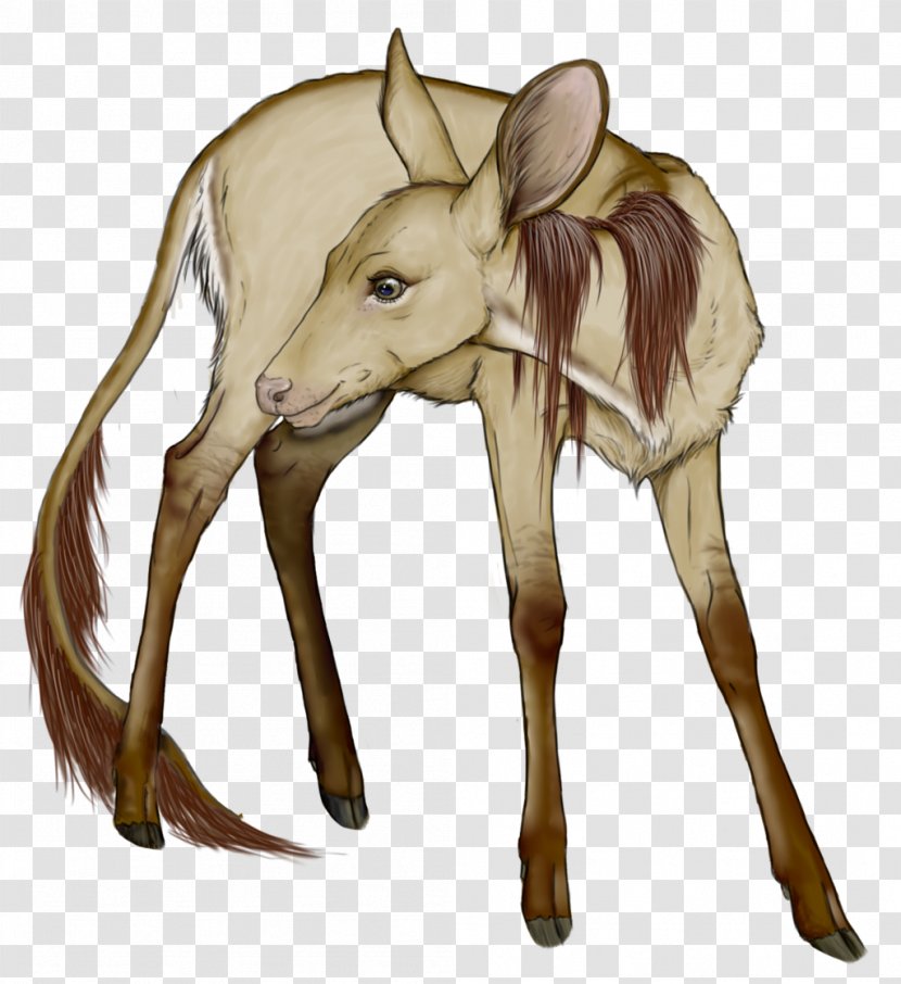 Elk Reindeer Horse Macropods Mammal Transparent PNG