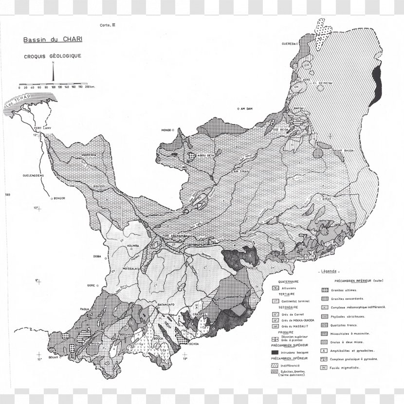Tree Map Transparent PNG