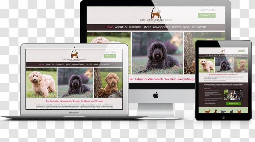 Web Design ArchView Labradoodles Southlake Classic Pet Retreat - Display Advertising Transparent PNG