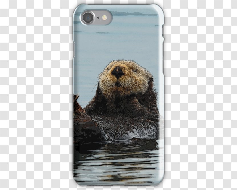 Sea Otter IPhone 7 Mouse Mats Alaska 6S - Zazzle Transparent PNG