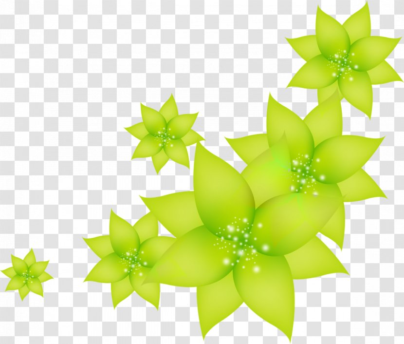Leaf Green - Highdefinition Television - Flowers Transparent PNG