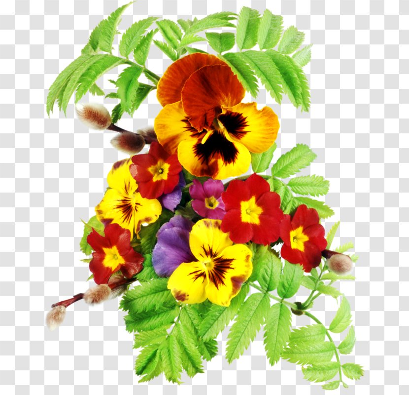 Pansy Floral Design Cut Flowers - Flowering Plant - Flower Transparent PNG