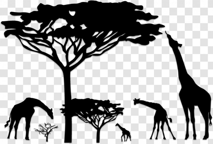 Savanna Giraffe Wall Decal Lion Tree - Acacia - Branch Transparent PNG