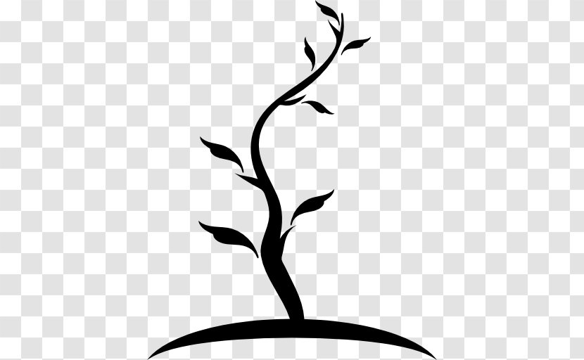 Trunk Tree - Flora - Thin Vector Transparent PNG