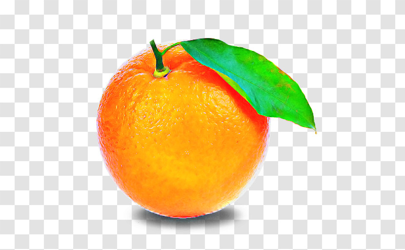 Orange Transparent PNG