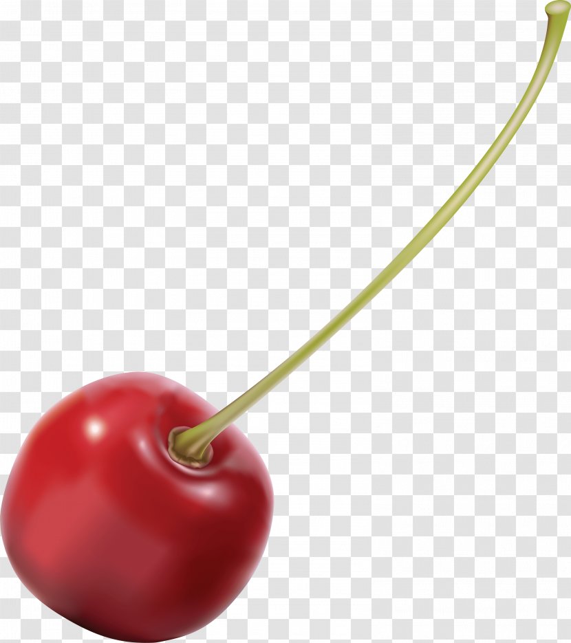 Cherry Ice Cream Fruit - Cerasus - Image Transparent PNG