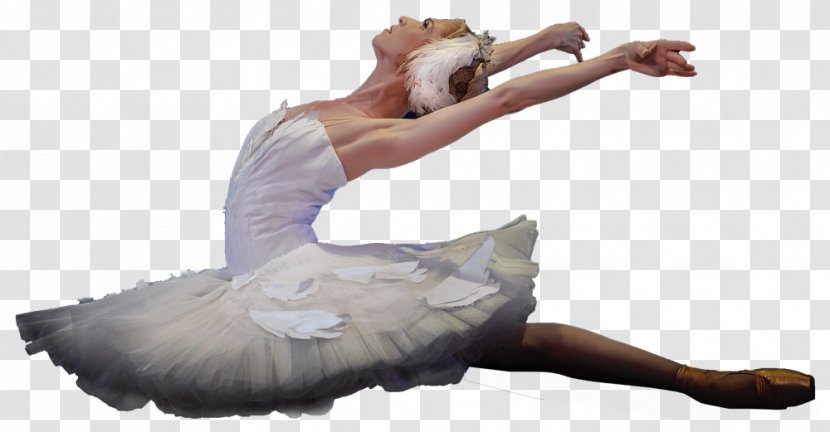 Ballet Dancer Performing Arts - Cartoon Transparent PNG
