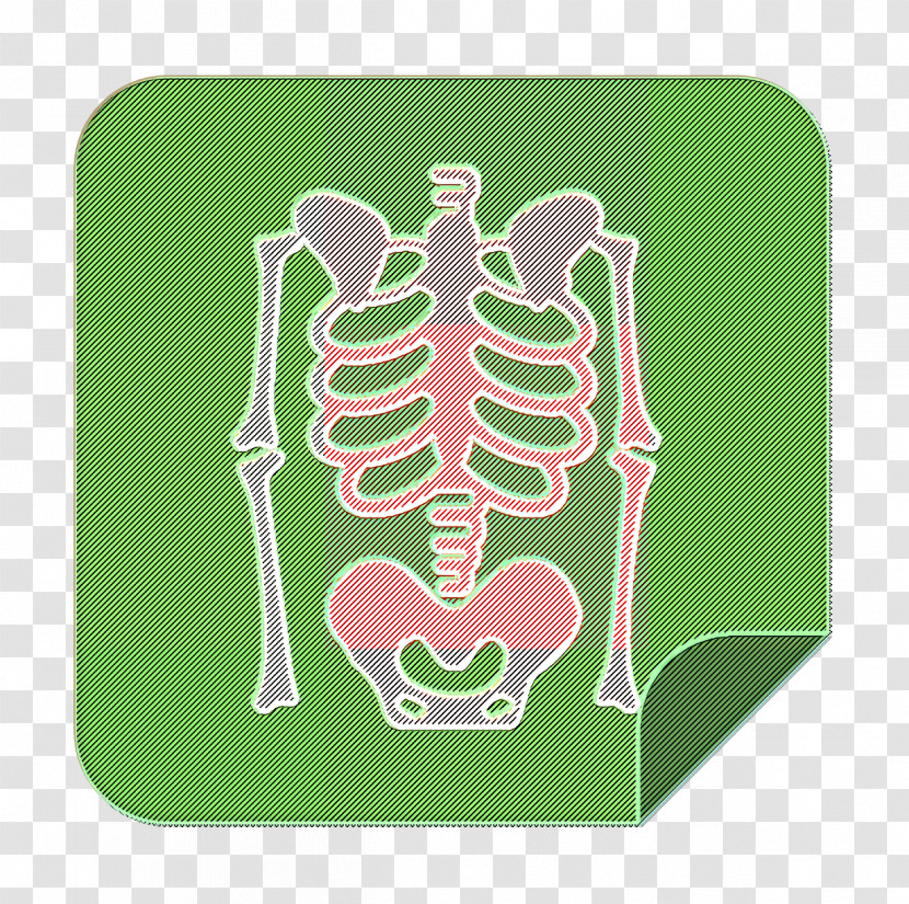 X Rays Icon Medical Elements Icon Skeleton Icon Transparent PNG