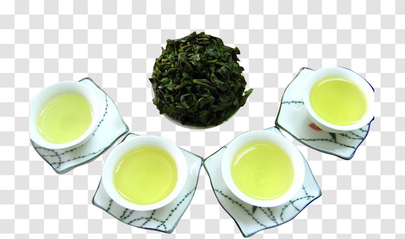 Longjing Tea Tieguanyin Oolong Gyokuro - Green - Iron Goddess Of Mercy Health Transparent PNG