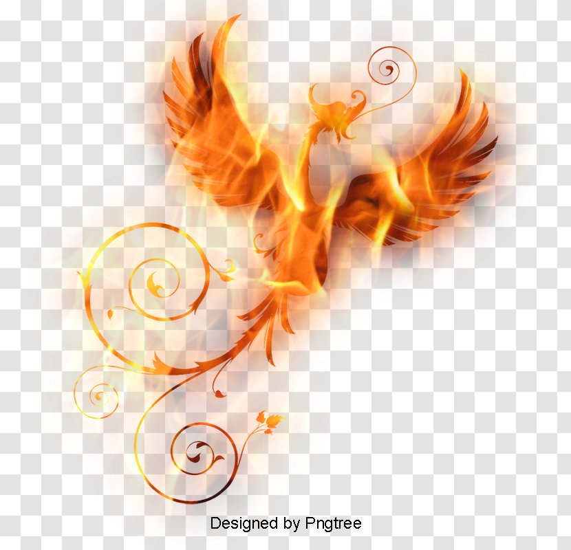 Download Phoenix Vector Graphics Transparent PNG