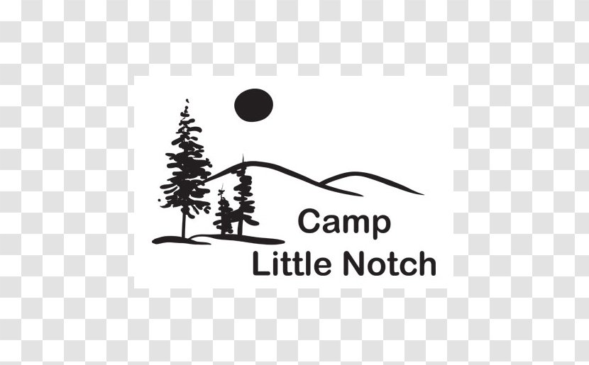 New York City Excelsior College Friends Of Camp Little Notch Wise Systems Inc. Organization - Tree - Speed Networking Activities Transparent PNG