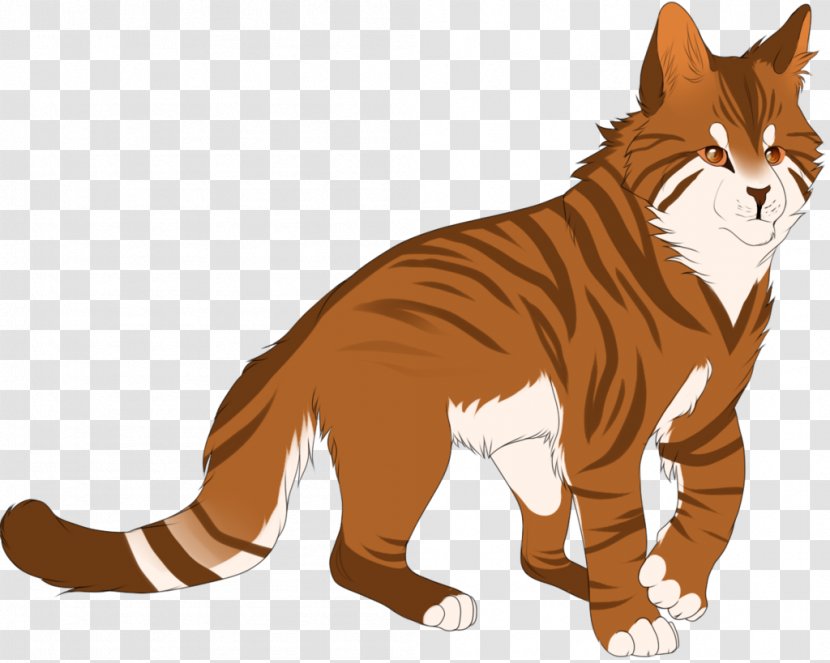 Cat Whiskers Tiger Secrets Of The Clans Warriors - Flower - Thunder Transparent PNG