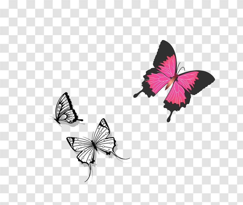 Graphic Design Computer File - Butterfly Transparent PNG
