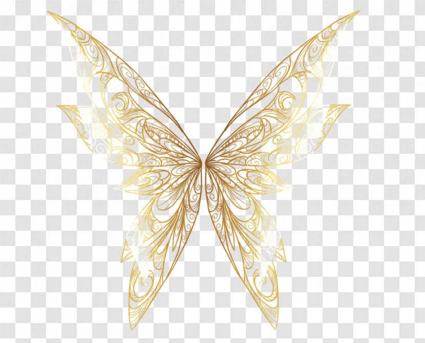 Butterfly Insect Wing Moth Animal - Golden Link Transparent PNG