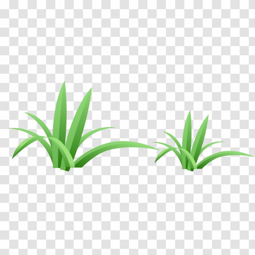 Green Euclidean Vector - Rectangle - Grass Transparent PNG